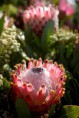 /album/galeria-de-fotos/a11-copia-jpg/